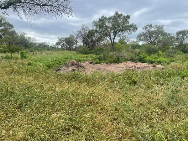 Piden medidas alternativas para procesados por deforestar más de 450 hectáreas en el Chaco - PDS RADIO Y TV
