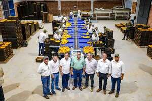Paraguay conquista mercado europeo con su segunda exportación de caqui