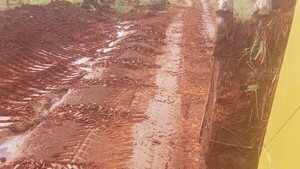 Hohenau: Reparan tramos rurales