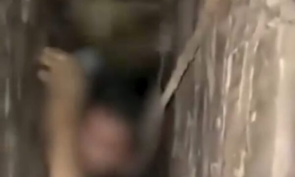 Ladrón fue pillado atascado en una chimenea