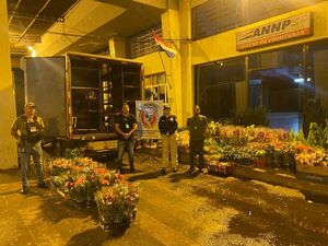 Incautan furgón cargado de flores en control sobre Ruta PY06