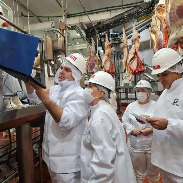 Divisas de la ganadería crecieron 16% en primer cuatrimestre - Nacionales - ABC Color