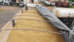 Cae camión con 33.000 kilos de soja, sin documentos