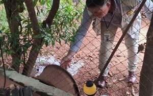 Senepa interviene más de 700 viviendas para eliminar criaderos de mosquitos en Tavapy – Diario TNPRESS