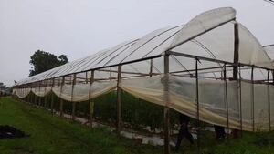 Santa Rosa, Misiones: le cayó un rayo mientras trabajaba en la huerta de su patrón y falleció - Policiales - ABC Color