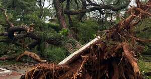 Diario HOY | Árboles caídos y basura acumulada tras el paso de la tormenta por Asunción