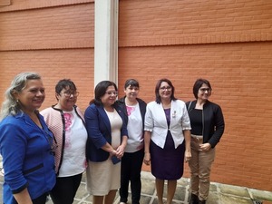 Jornada de Integración de Profesionales de Enfermería en la Frontera entre Itapúa y Misiones