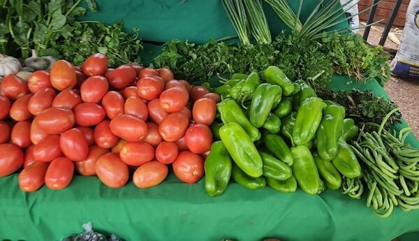 Tomate y locote alcanzan precios récord en Concepción
