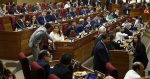 La Nación / Proyecto de reforma policial debe ser tratado con urgencia en Diputados, afirmó senador