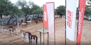 Jornada ganadera, visitas escolares y diversión Infantil en el tercer día de la Expo Rodeo Neuland