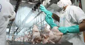La Nación / Caen exportaciones del sector avícola, pero productores mantienen esperanza en repunte