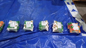 Cerca de 1.600 kilogramos de cocaína entre almidón y harina de maíz.