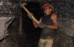 Denuncian ante Naciones Unidas el “trabajo forzoso” al que son sometidos los presos que producen carbón en Cuba