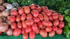 Siguen alarmando subas del tomate y de otras hortalizas