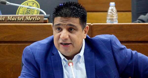 La Nación / Diputado insta al debate sobre incluir a las FFMM en la seguridad interna
