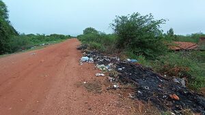Urgen medidas ante la calamitosa situación del muro de contención en Concepción