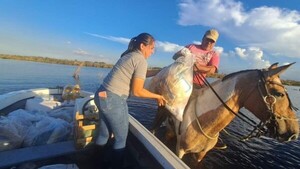 Intensas lluvias y riadas complican la vida a pequeños productores del Sur