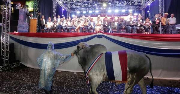 La Nación / Latorre resalta promesa del Gobierno de reivindicar al sector productivo