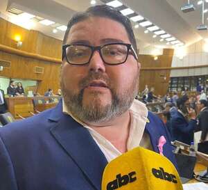 Rodríguez se disculpa por censura, no por blindaje con fueros - Política - ABC Color