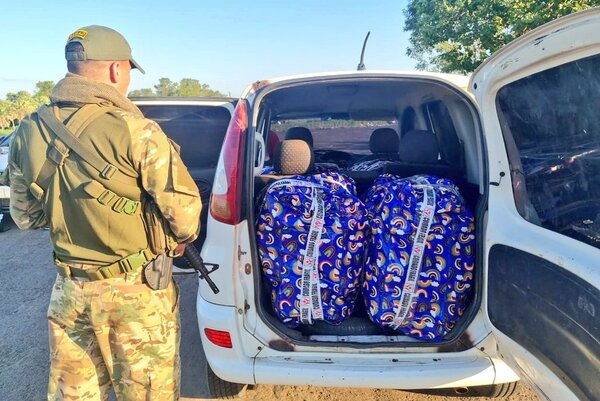 Plan Sumar: Senad logra evitar que 558 mil kilos de marihuana sean comercializados - trece