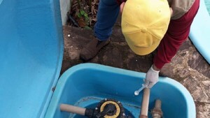 Monitorean la efectividad de vacuna contra dengue antes de traer al país