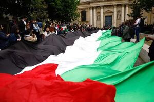 España e Irlanda ultiman el reconocimiento de Palestina como Estado - Mundo - ABC Color
