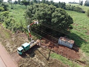 Mantenimiento integral de líneas de distribución eléctrica beneficia a 2.000 clientes en Alto Paraná - .::Agencia IP::.