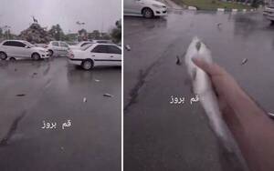 [VIDEO] La “lluvia de peces” que se dio en Irán: ¿por qué se registró este extraño fenómeno?