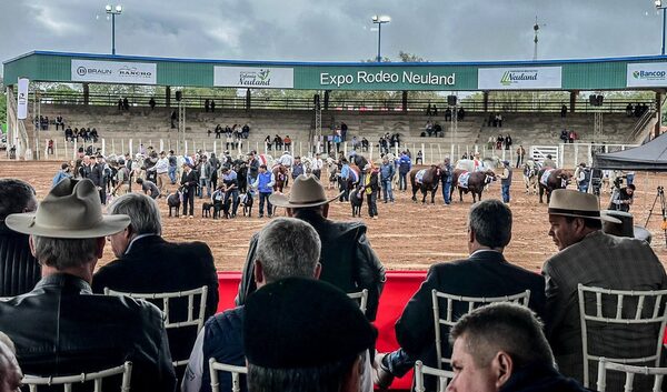 AFD impulsa el empleo en el Chaco: Más de 2.000 nuevos puestos gracias a créditos agrícolas y ganaderos