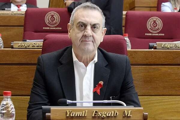 “Devolución premiada”: Yamil Esgaib defiende en un comunicado su polémico proyecto de ley - Política - ABC Color