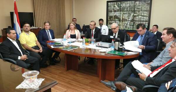 La Nación / Ande y Senado analizan posibles fuentes de generación de energía