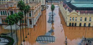 Inundaciones en Brasil: el mercado de la soja se sacude y alcanza nuevos m谩ximos - Revista PLUS