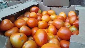 Precio del tomate: esto dice un importador del Abasto y un representante de Capasu  - Nacionales - ABC Color