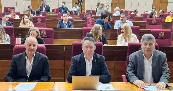 La Nación / Con reforma a la Ley de Mipymes se apunta a bajar el costo de la formalización