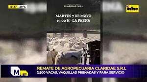 Video: remate de agropecuaria Claridae S.R.L. - Mundo empresarial - ABC Color