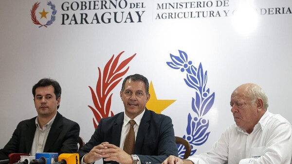 MAG: Tomate no bajará en mayo, ya que cosecha llegó solo al 10%