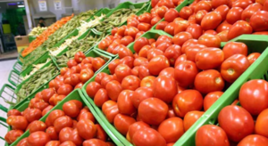 Tomates más caros: 90 % de cosecha fue afectada por altas temperaturas
