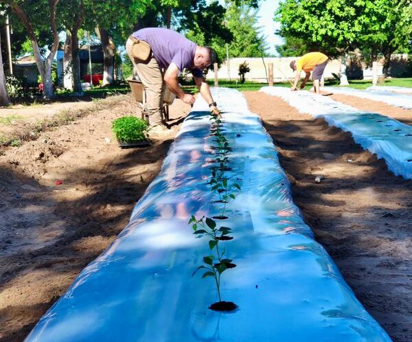 PPL de la Granja Ko’ē Pyahu encuentran en el cultivo de hortalizas nuevas esperanzas