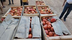 Cae carga de productos frutihortícolas de contrabando en Yby Ya’u