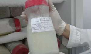 Arranca campaña de donación de leche materna y frascos de vidrio - ABC en el Este - ABC Color