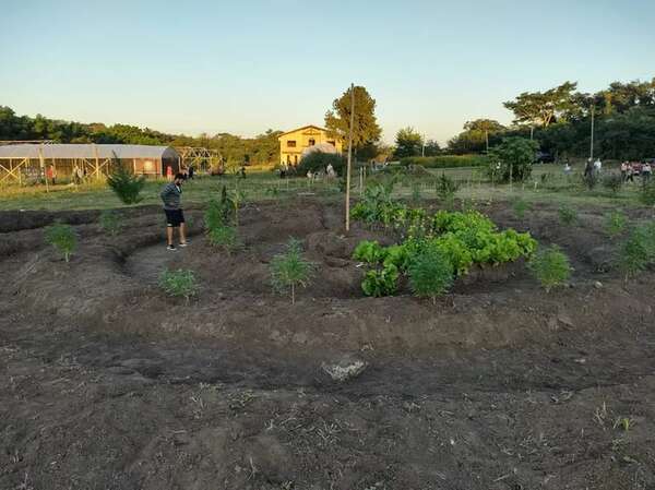 Cooperativa plantará cannabis medicinal en San Pedro - Nacionales - ABC Color