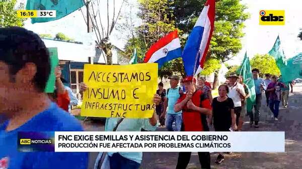 Video: FNC exige semilla y asistencia del gobierno - ABC Noticias - ABC Color