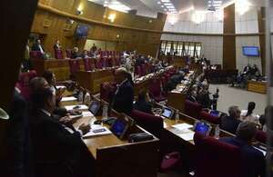 Diputados tratatá el proyecto de “reordenamiento” estatal - Política - ABC Color