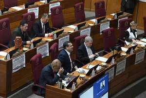 Cámara de Senadores rechaza plan Esgaib que alienta a la corrupción - Política - ABC Color