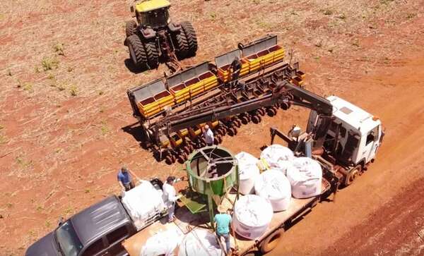 Tratamiento biológico de semillas apuntando a asegurar el cultivo - Economía - ABC Color