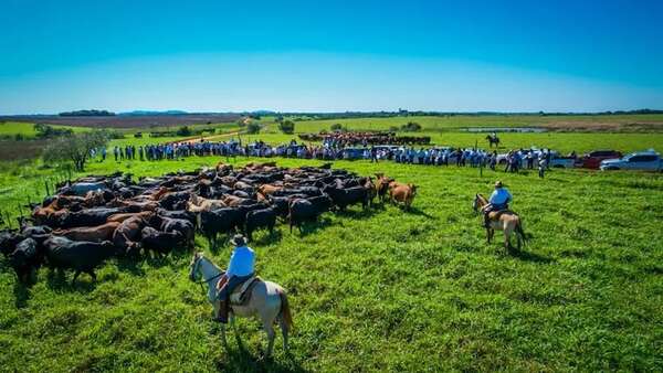 Congreso de Brangus arrancó en el campo - Economía - ABC Color