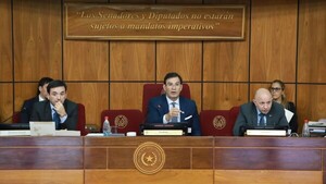 Con críticas a Yamil Esgaib, Senado rechaza ley que protege a corruptos