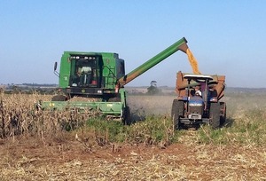 Afirman que excesos de lluvias no son buenos para la producción - Megacadena - Diario Digital