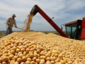 Inundaciones en Brasil afectan a los precios de soja y maíz - La Tribuna