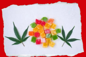 Madre y sus hijos están graves tras consumir gelatina de marihuana